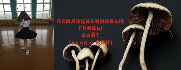 дмт Балахна