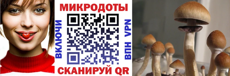 Псилоцибиновые грибы прущие грибы  hydra рабочий сайт  Верхнеуральск 